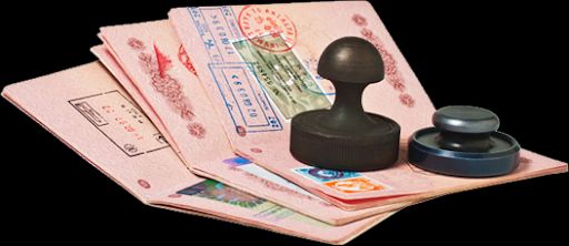 Консультация на получение визы (разбор ваших индивидуальных документов )+