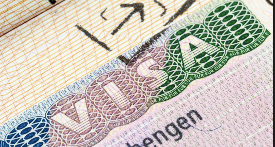 Консультация на получение визы (разбор ваших индивидуальных документов )+